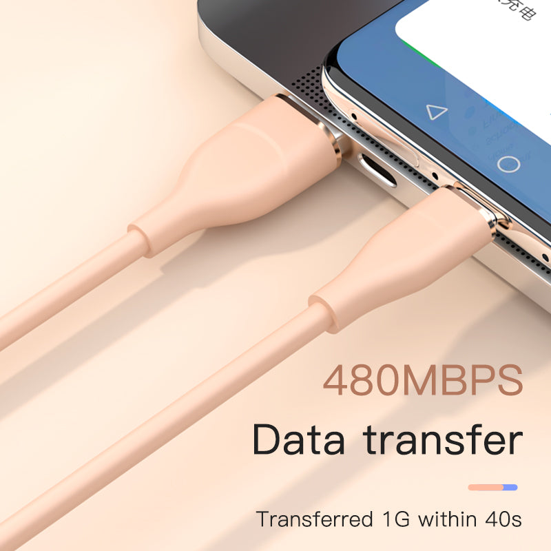 USB-C to USB-C Cable 2m, 60W Fast Charging Cord